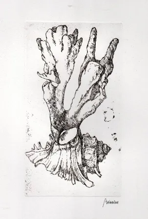 Illustrated Book Biasion - Venezia lontana