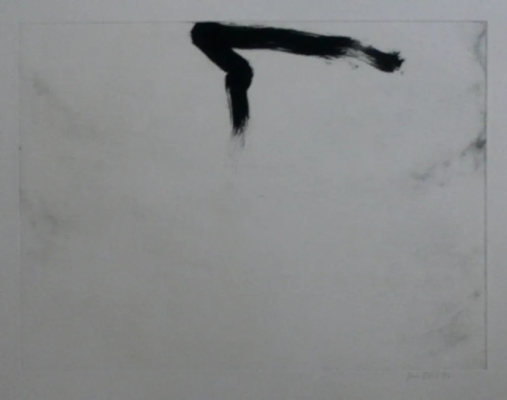 Etching And Aquatint Bird - Abstract 11