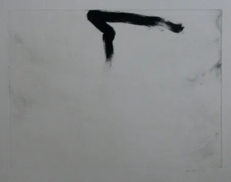 Etching And Aquatint Bird - Abstract 11