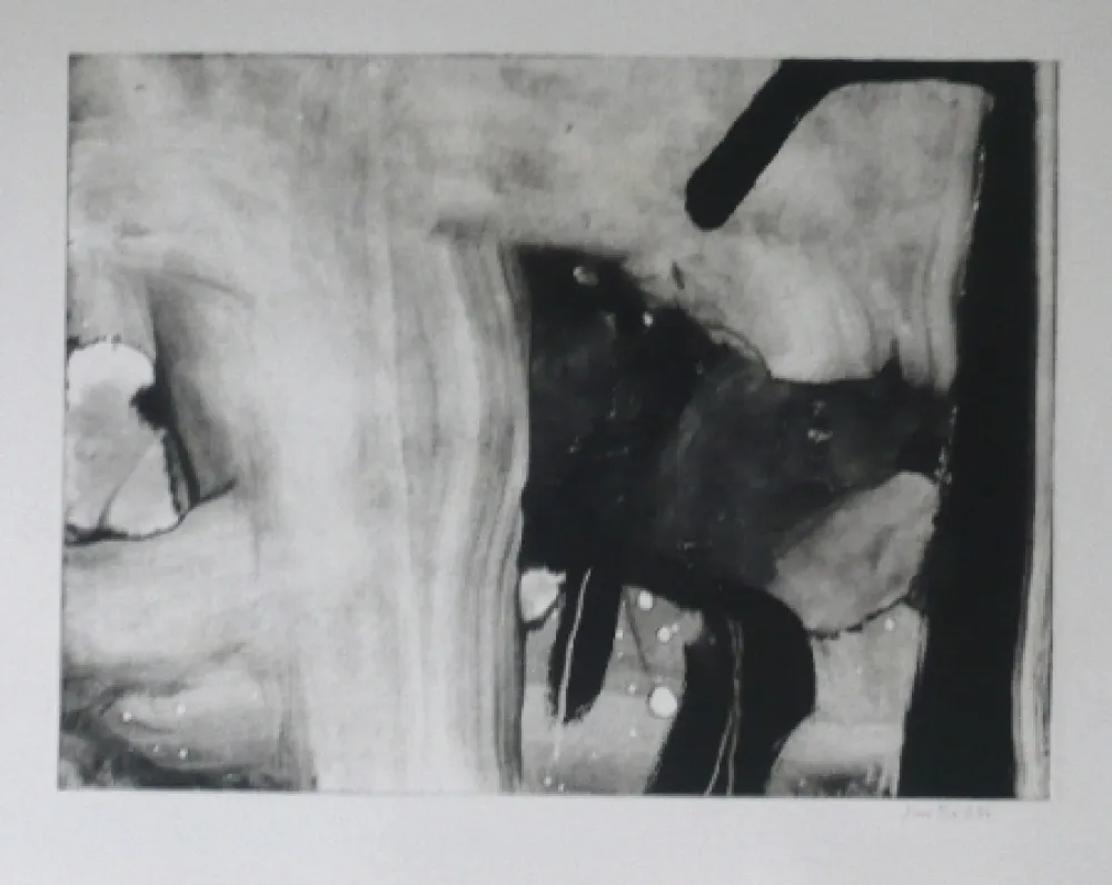 Etching And Aquatint Bird - Abstract 4