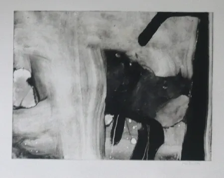 Etching And Aquatint Bird - Abstract 4