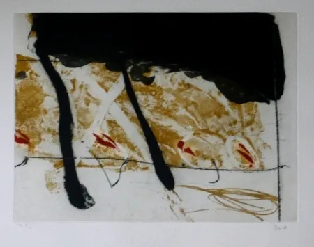 Etching And Aquatint Bird - Abstract 8