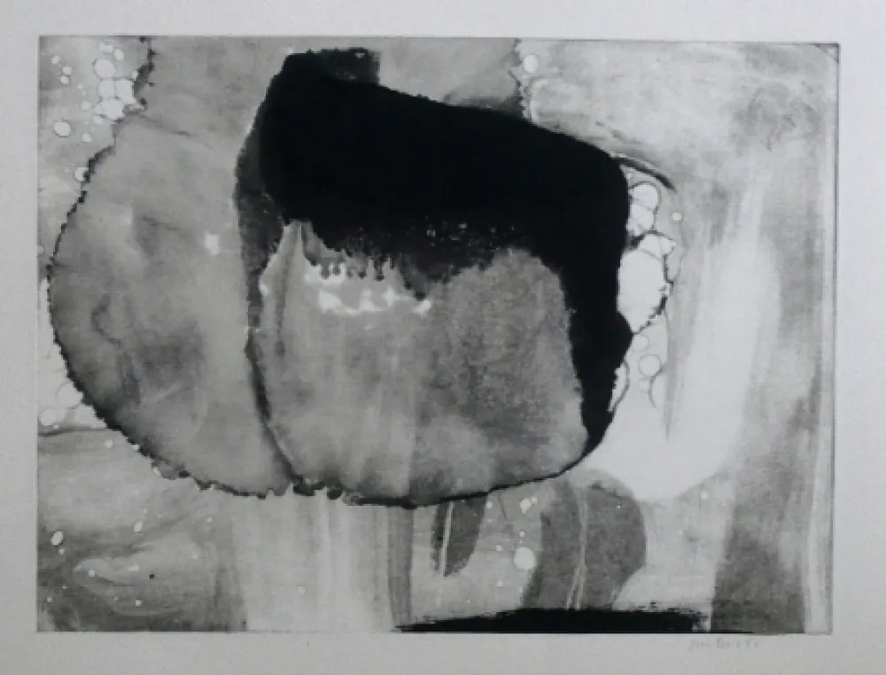 Etching And Aquatint Bird - Abstract 9