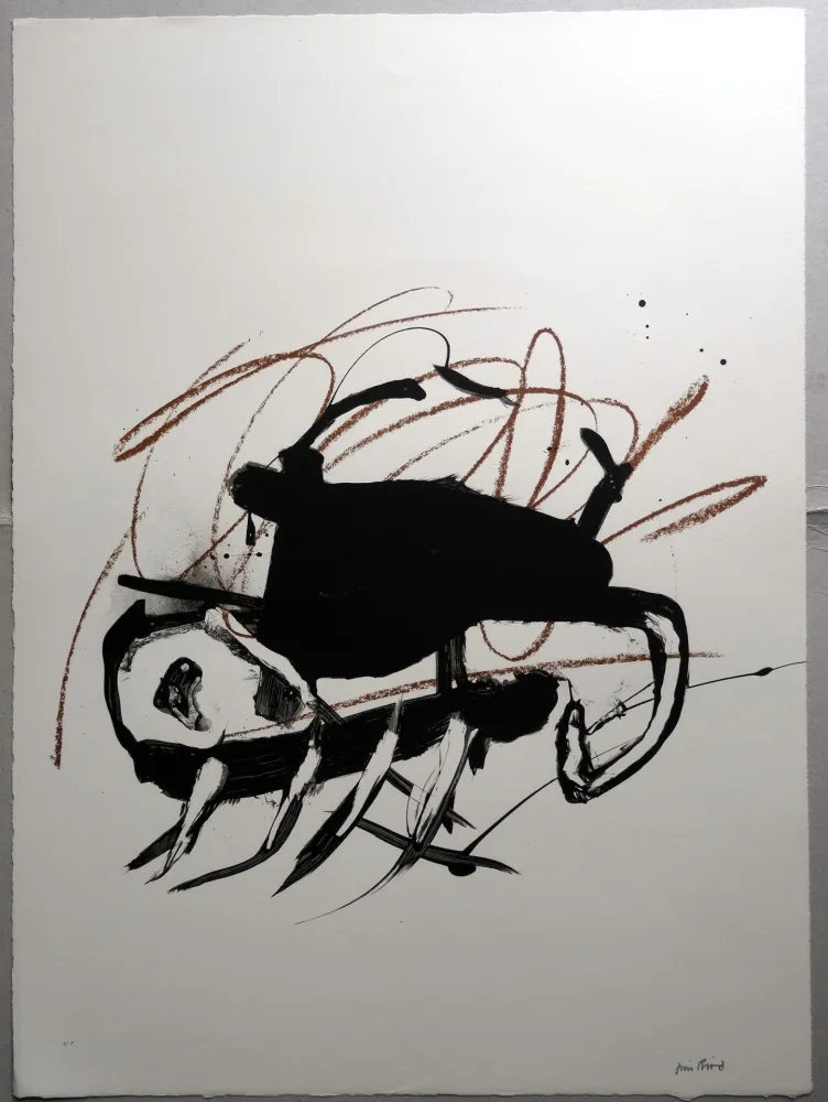 Lithograph Bird - A.L Galería Joan Prats