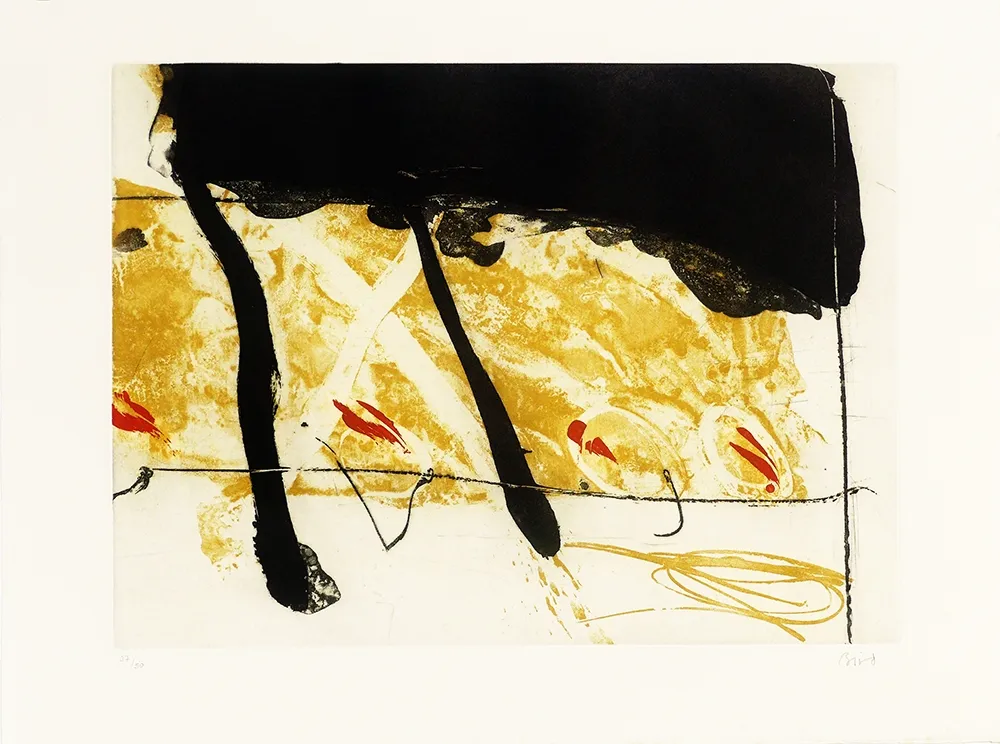 Etching And Aquatint Bird - Coach of black  water