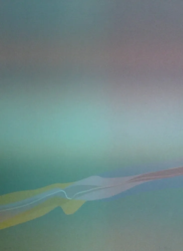 Lithograph Bird - Spectre lumière 4