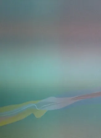 Lithograph Bird - Spectre lumière 4