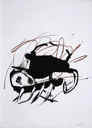 Lithograph Bird - S/T