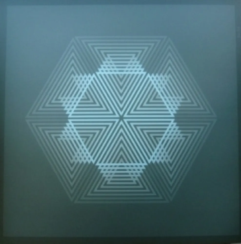 Lithograph Bird - Tribute to vasarely 12