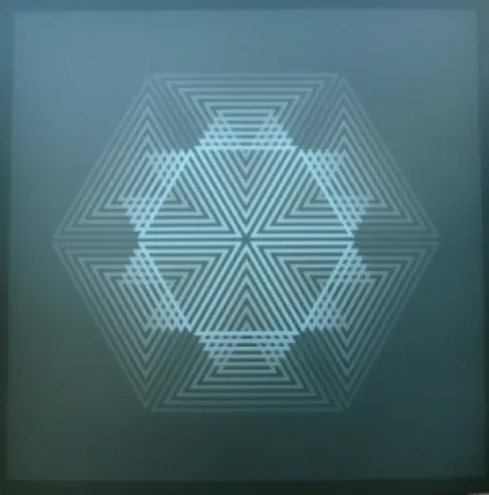 Lithograph Bird - Tribute to vasarely 12