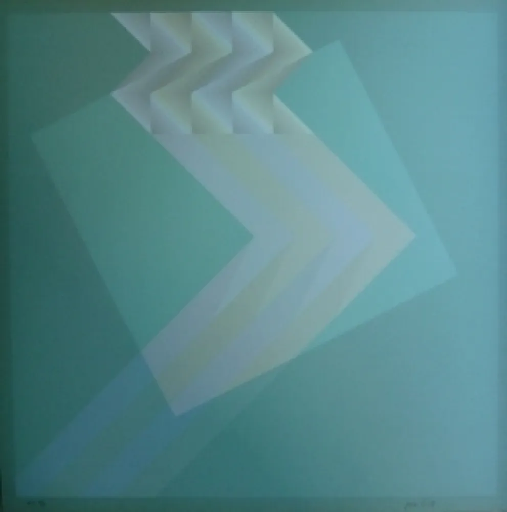 Lithograph Bird - Tribute to Vasarely 13