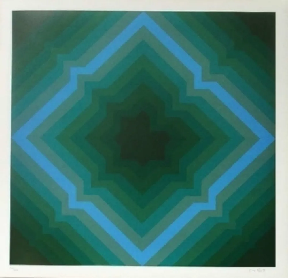 Lithograph Bird - Tribute to vasarely