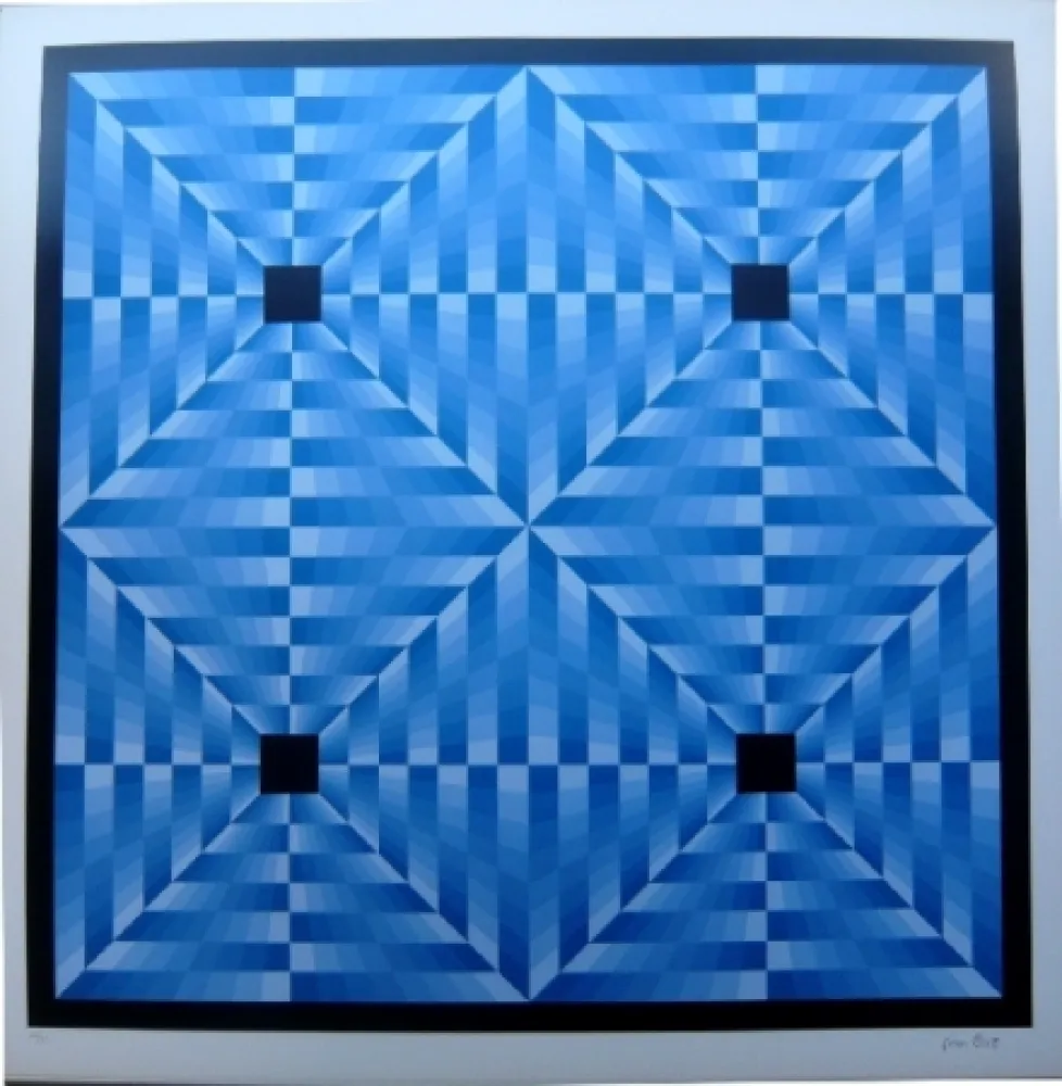 Lithograph Bird - Tribute to Vasarely 6