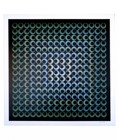 Screenprint Bird - Tribute to Vasarely