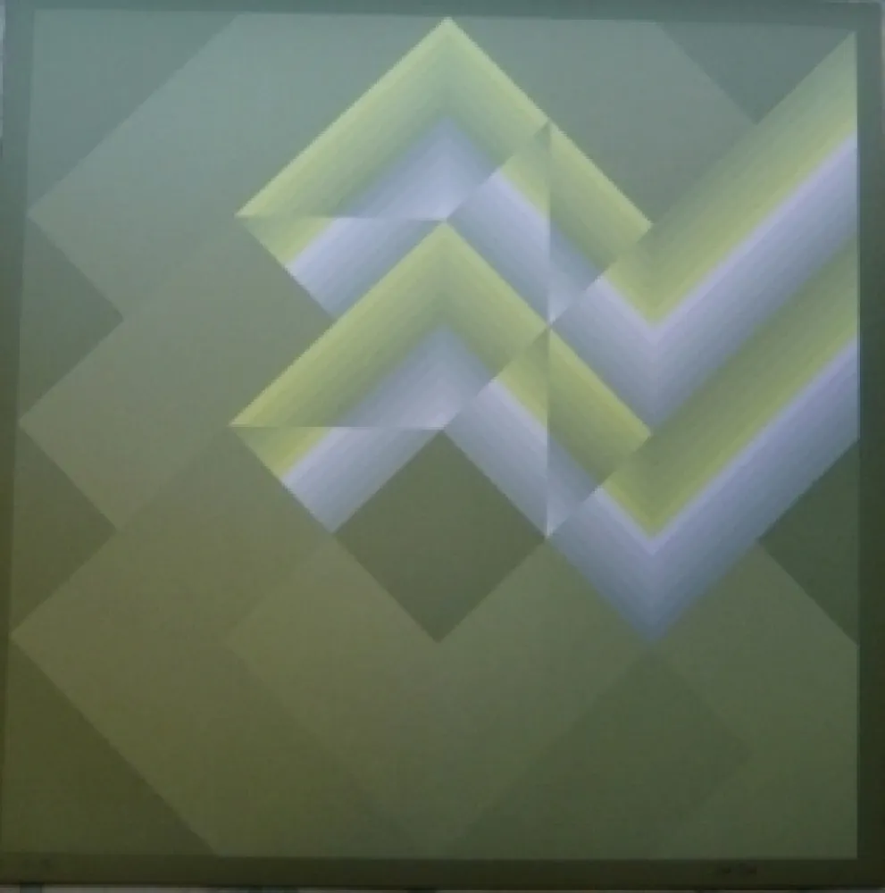 Lithograph Bird - Tribute to vasarely