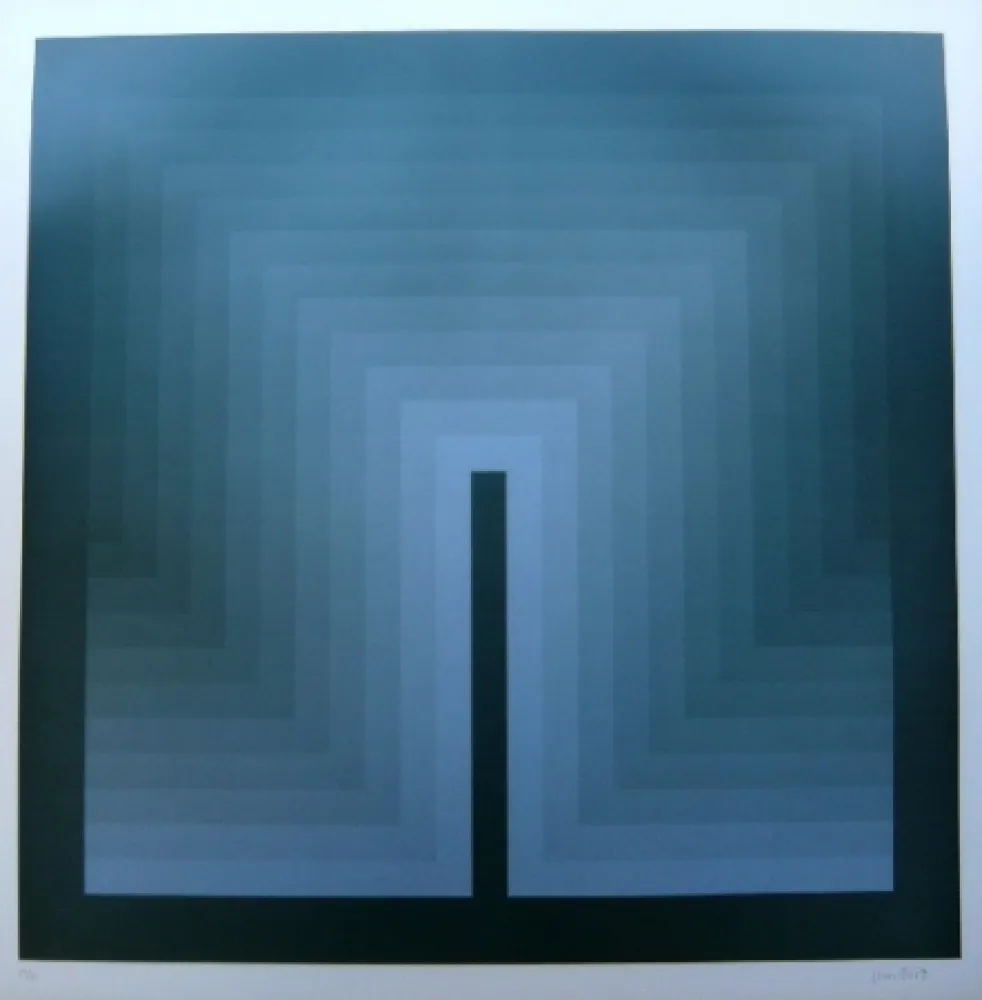 Lithograph Bird - Tribute to vasarely 9