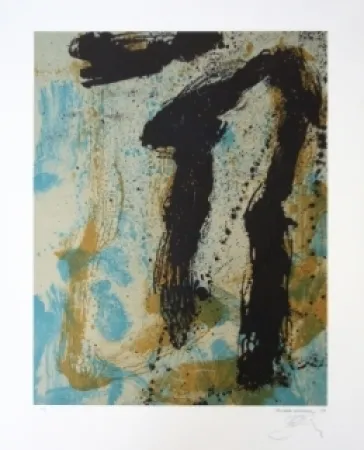 Lithograph Bohary - Water fall river