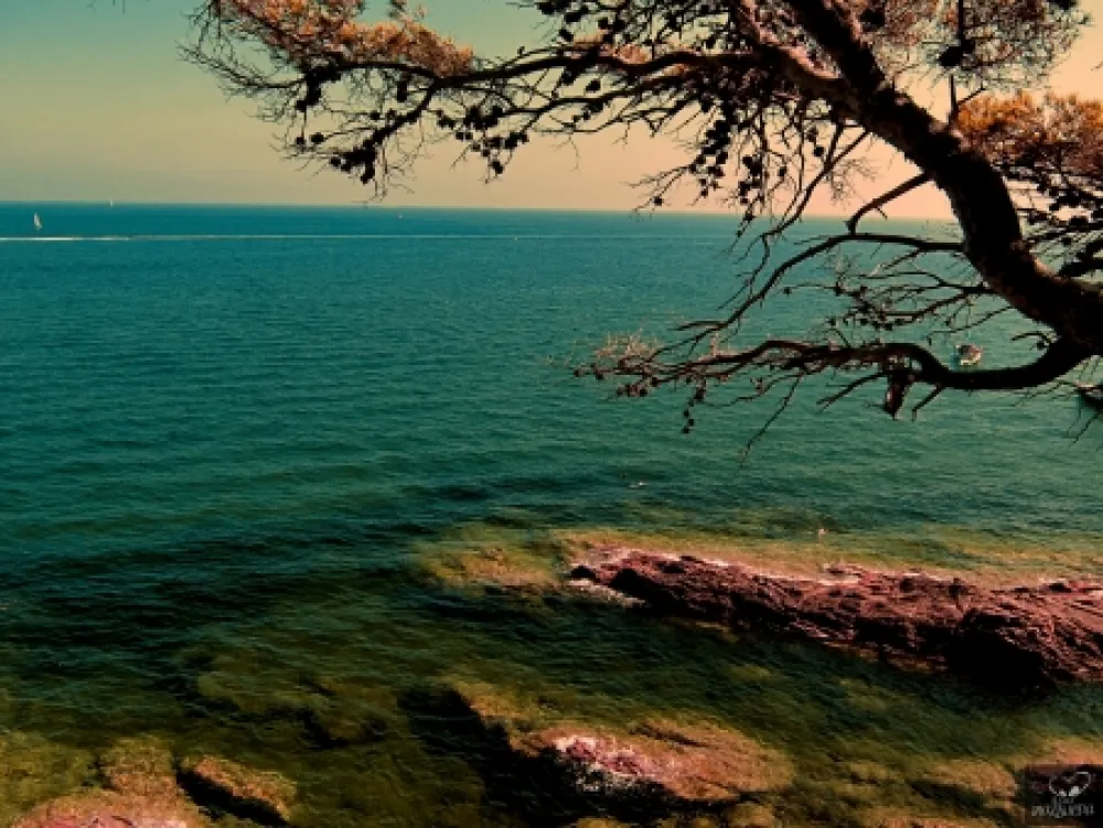 Photography Bohorquez - Bleu