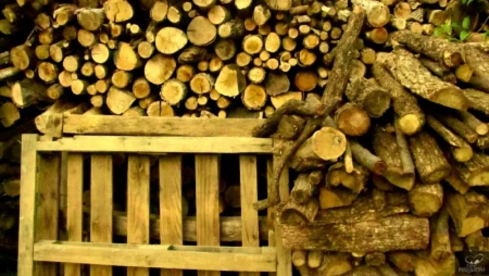 Photography Bohorquez - Palos de Moguer