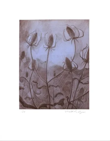 Etching Bollinger - Spider's Teasel