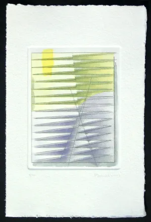 Etching And Aquatint Bonalumi - Senza titolo