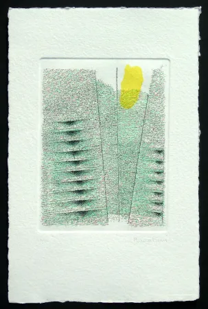 Etching And Aquatint Bonalumi - Senza titolo