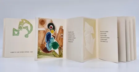 Illustrated Book Boni - Transfert