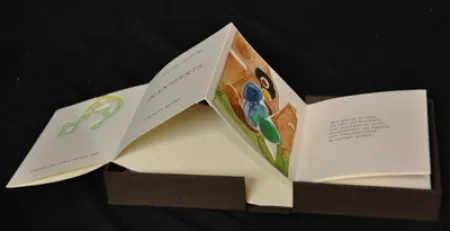 Illustrated Book Boni - Transferts