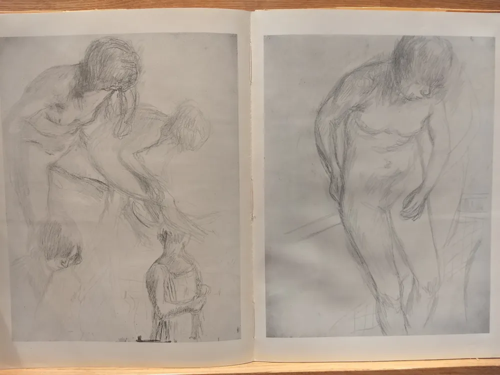 Illustrated Book Bonnard - Couleur De Bonnard