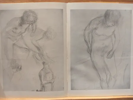 Illustrated Book Bonnard - Couleur De Bonnard