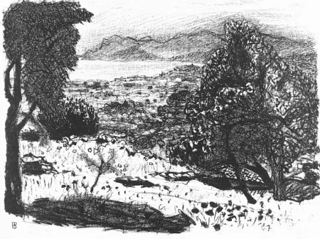 Lithograph Bonnard - Paisage du midi