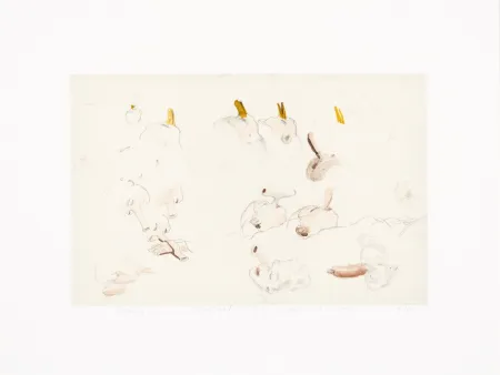 Numeric Print Borremans - Noses