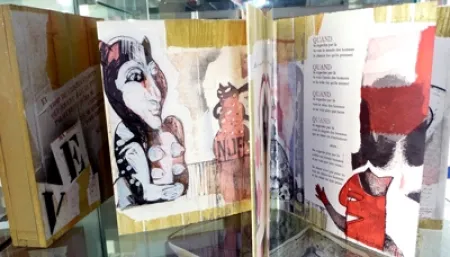 Illustrated Book Botti  - Des chats dites-vous ?