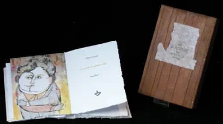 Illustrated Book Botti  - Le sourire du guetteur infini