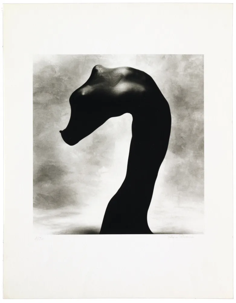 Lithograph Bouvier - Nus noirs 3