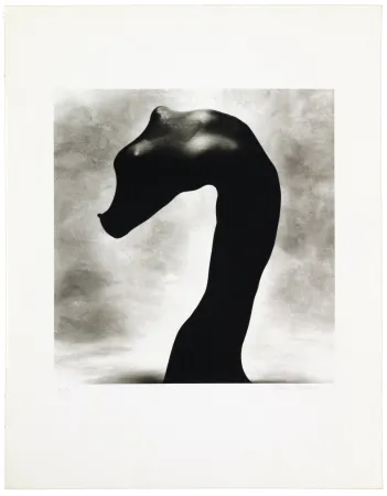 Lithograph Bouvier - Nus noirs 3