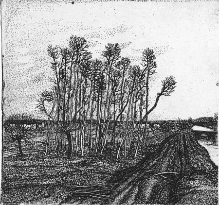 Engraving Bozzetti - Il boschetto lungo l'argine (II versione)