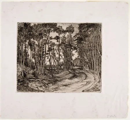 Etching Bozzetti - IL BOSCO CHE GUARDA VERSO L'ESTERNO (The forest that looks to the outside) 