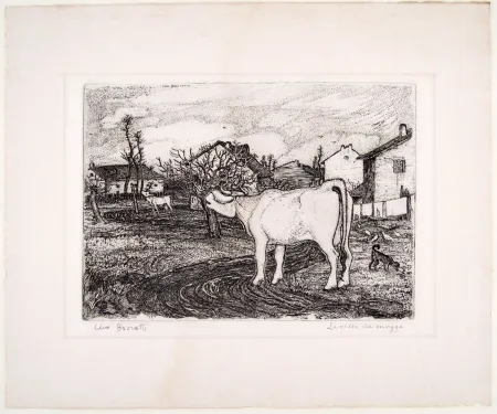 Etching Bozzetti - LA VACCA CHE MUGGE (The mooing cow), second version