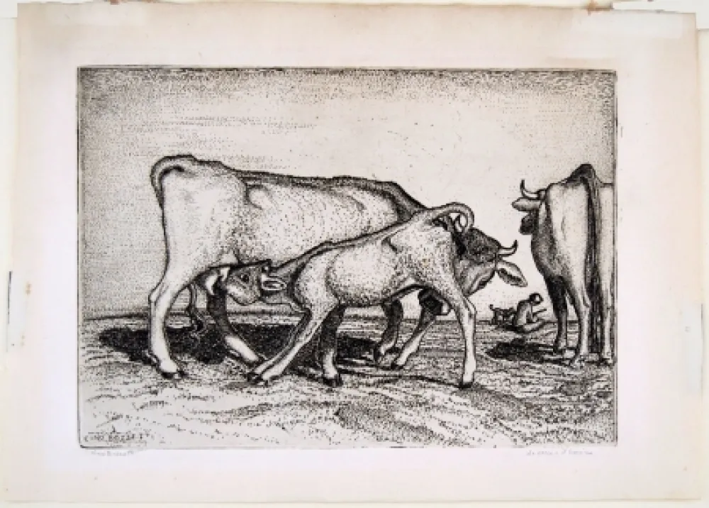 Etching Bozzetti - LA VACCA E IL BOCCINO (The cow and the calf), fourth version. 