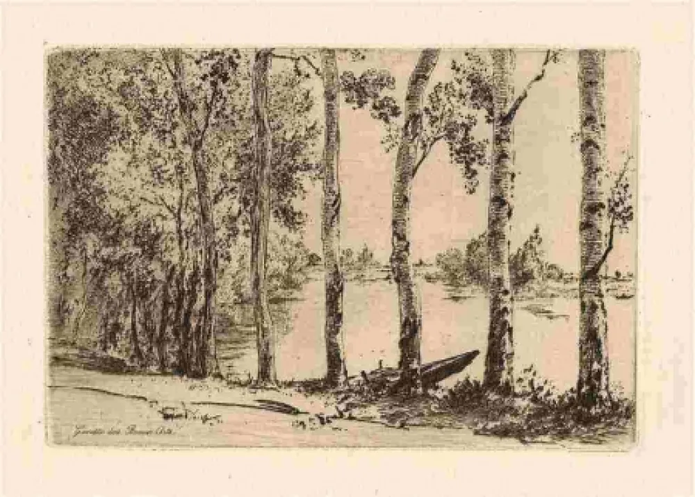 Etching Bracquemond - Les trembles