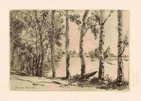 Etching Bracquemond - Les trembles