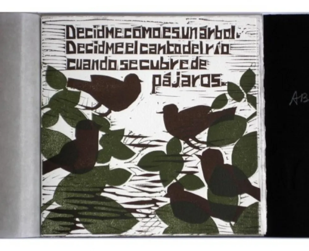 Illustrated Book Brancaforte - Decidme cómo es un árbol