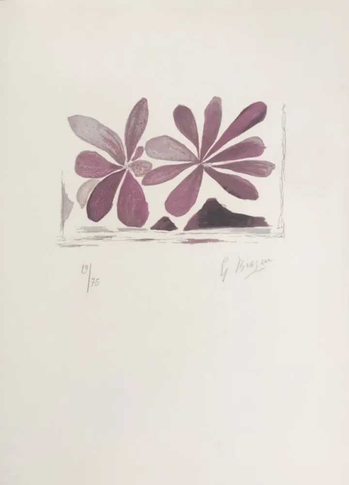 Lithograph Braque - Fleurs de l'air 