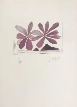 Lithograph Braque - Fleurs de l'air 