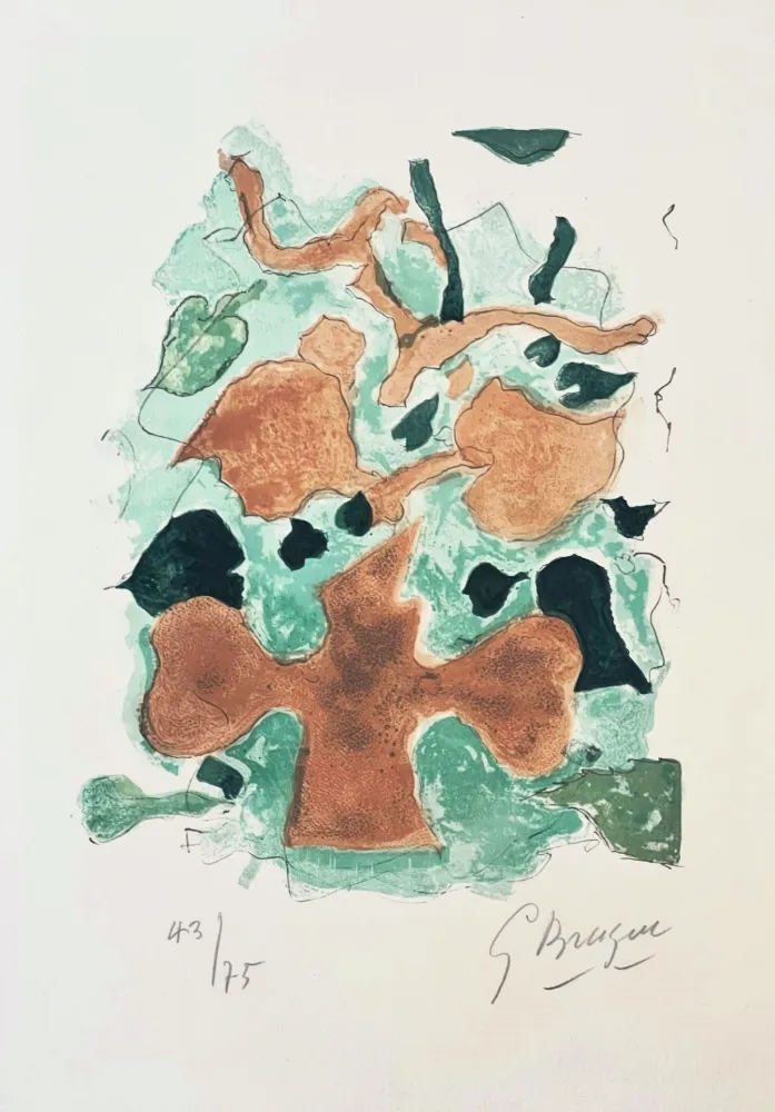 Lithograph Braque - La Fôret 