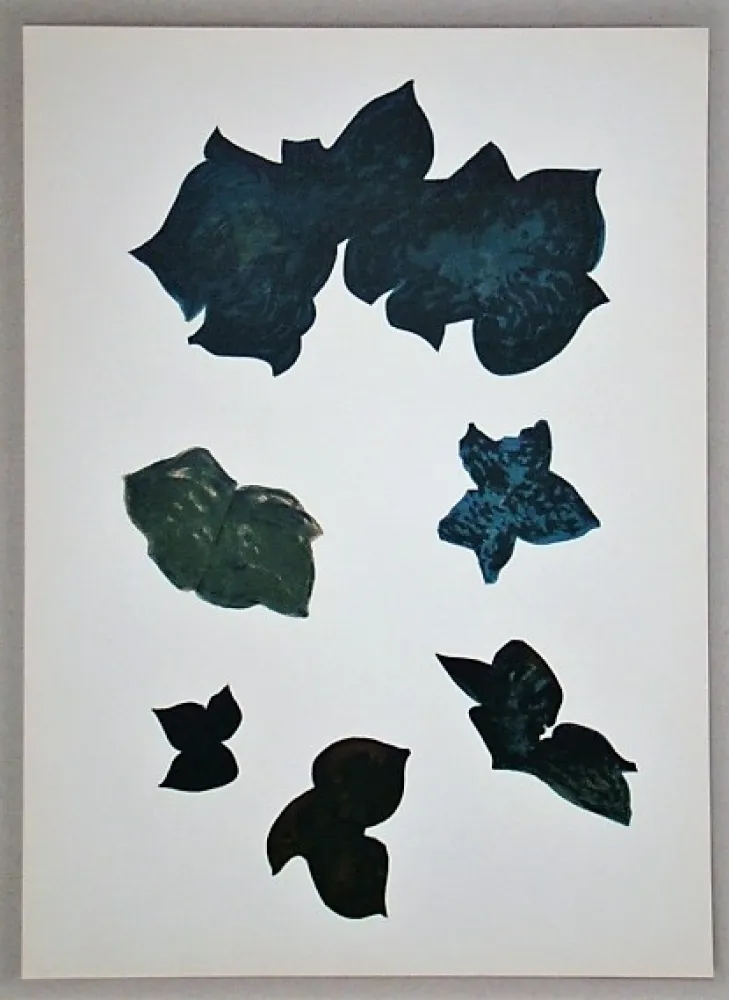 Lithograph Braque - La liberté des mers