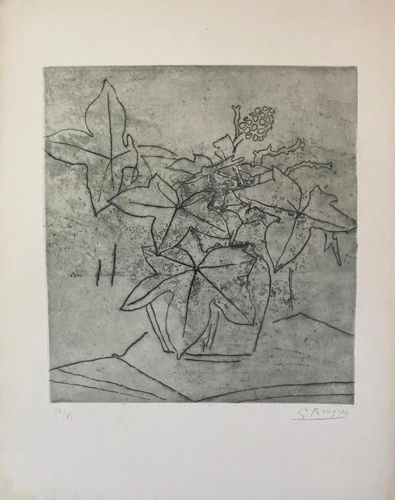 Etching Braque - Le Lierre #99
