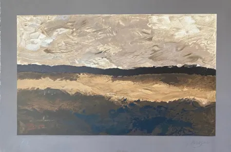 Lithograph Braque - Les Champs M#1045