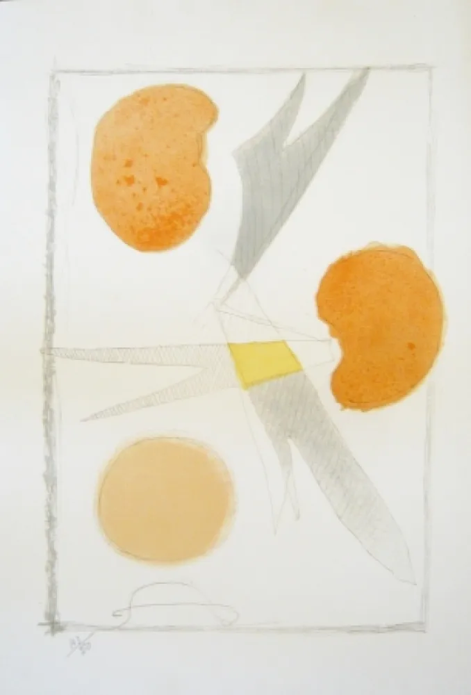 Lithograph Braque - Tirée de La liberté des mers